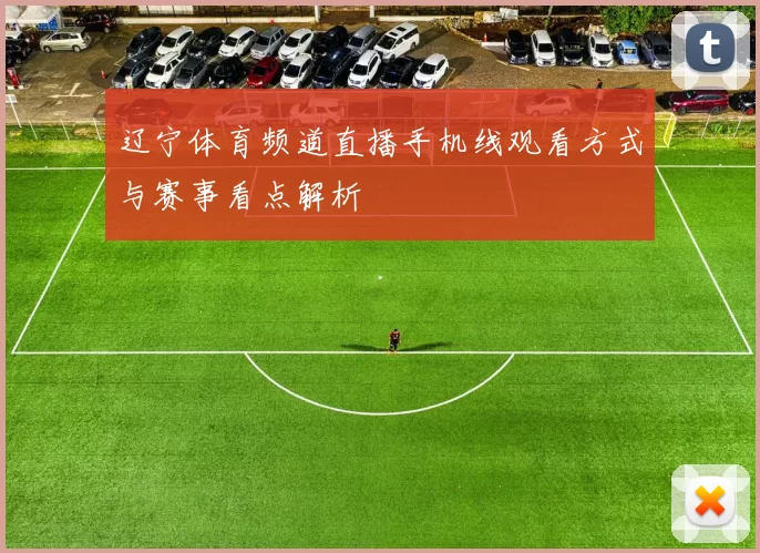 辽宁体育频道直播手机线观看方式与赛事看点解析