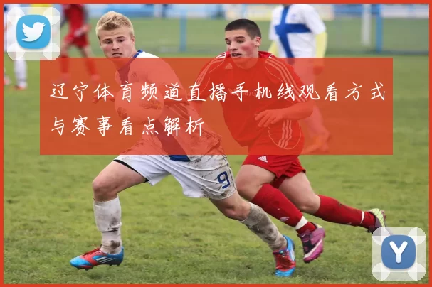 辽宁体育频道直播手机线观看方式与赛事看点解析