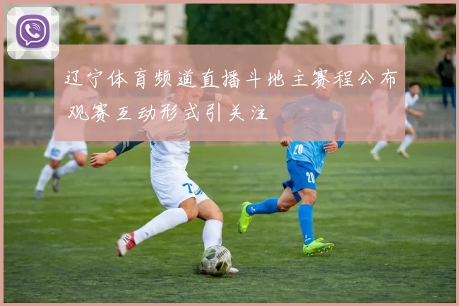 辽宁体育频道直播斗地主赛程公布 观赛互动形式引关注