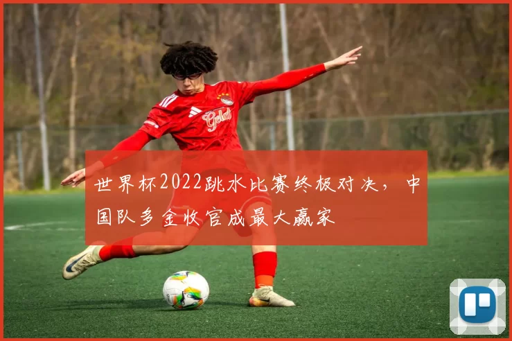 世界杯2022跳水比赛终极对决，中国队多金收官成最大赢家